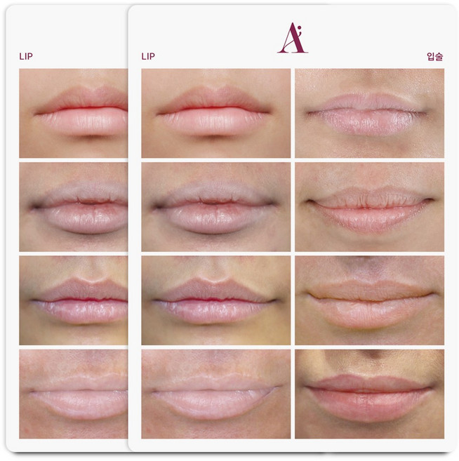 라몽 에이 반영구화장 실사 연습판, 2개, 입술