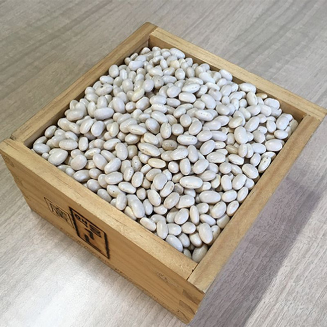수입 흰강낭콩, 1개, 5kg