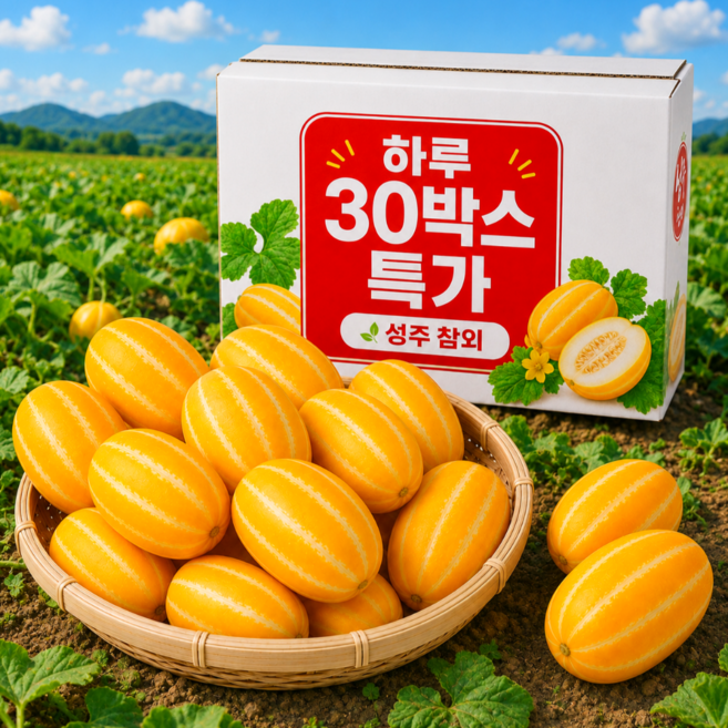 [하루30박스] 참외1등농가 국내산 꿀당도 초특가 제철 참외, 1박스, 5kg (중과)