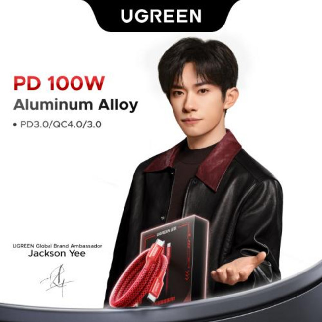 UGREEN x Jackson Yee PD100W USB C 케이블, 1)PD100W, 1m, 유형 C에서 유형 C로, 1개