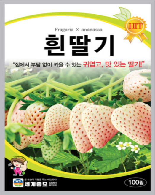 흰딸기 씨앗 100립 딸기종자 /홈가드닝 봄 여름 가을 겨울 월동 화분재배, 1개