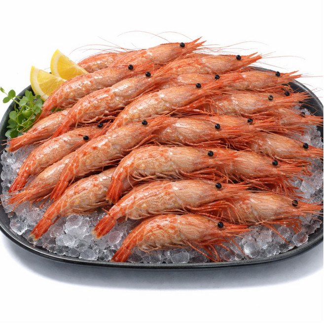 [선별최상품] 활 독도 새우 동해안 도화새우 꽃새우 생물 믹스 디아머스, 1개, 500g (20-30미)