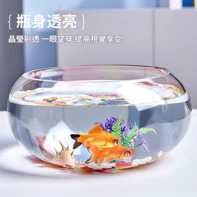 HYPCW 圓形透明玻璃桌面魚缸 創意水培鼓缸, 20鼓缸 + 彩石, 1個