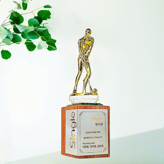 좋은상패 골프트로피 싱글트로피 골프싱글패 싱글패 골프이글패 이글패 이글트로피 이글기념패 홀인원트로피 홀인원패 ESG1 ESS1, 1개, ESSG1(골드)