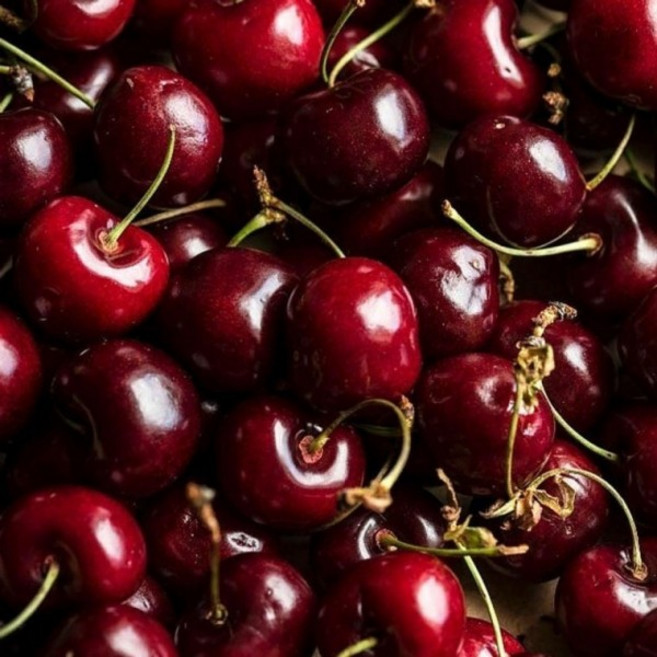 맛있는 과일 고급 신선한 항공직송 체리 특대 1kg 수입 간식 풍부한 맛과 영양 선물