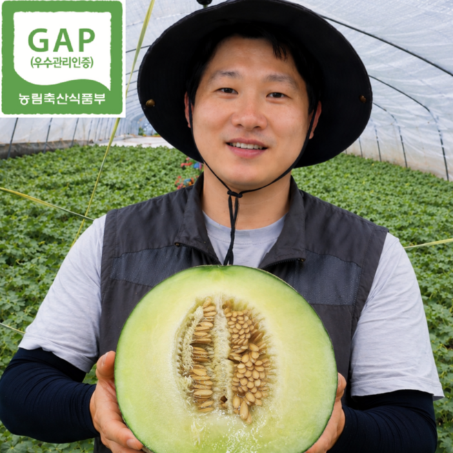 [상위1%] 고당도 산지직송 프리미엄 머스크 메론, 1박스, 4kg