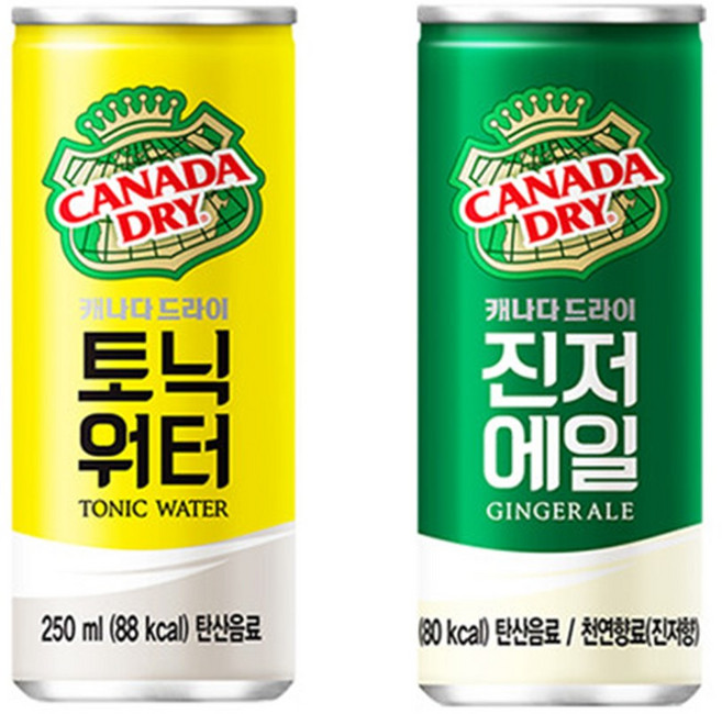 캐나다드라이 토닉워터 5캔+진저에일 5캔 총10캔, 250ml, 1세트