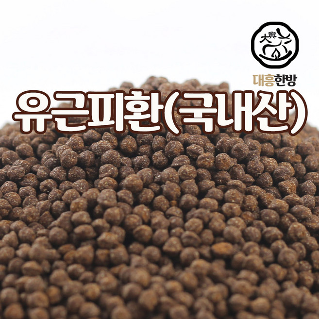 대흥한방 유근피환 500g 국내산, 2개