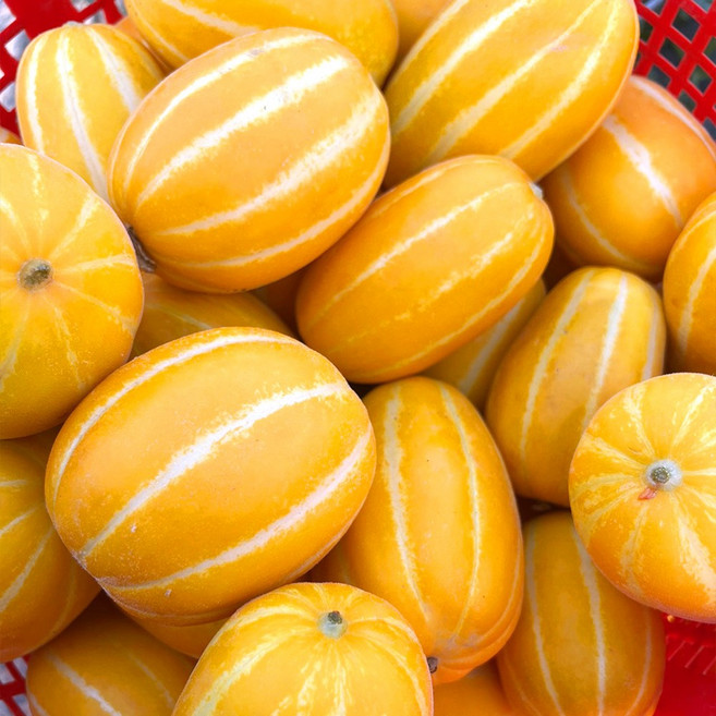 성주 꿀참외 혼합, 1개, 3kg