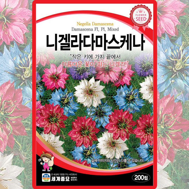 세계종묘 산들마켓 니겔라다마스케나 씨앗 200립 흑종초 니겔라 꽃씨 종자, 1개