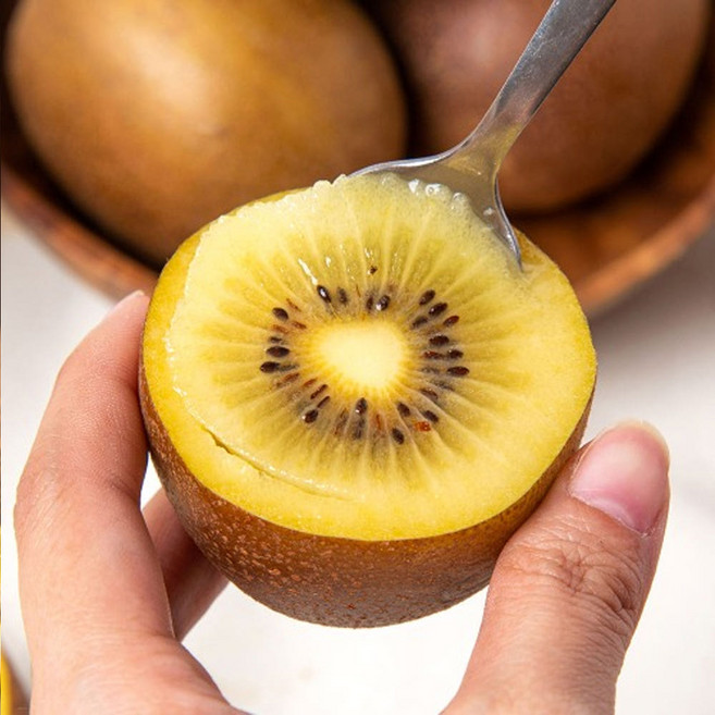 제스프리 골드키위 뉴질랜드산 5.8kg 48과 대과 개당 121g, 1개