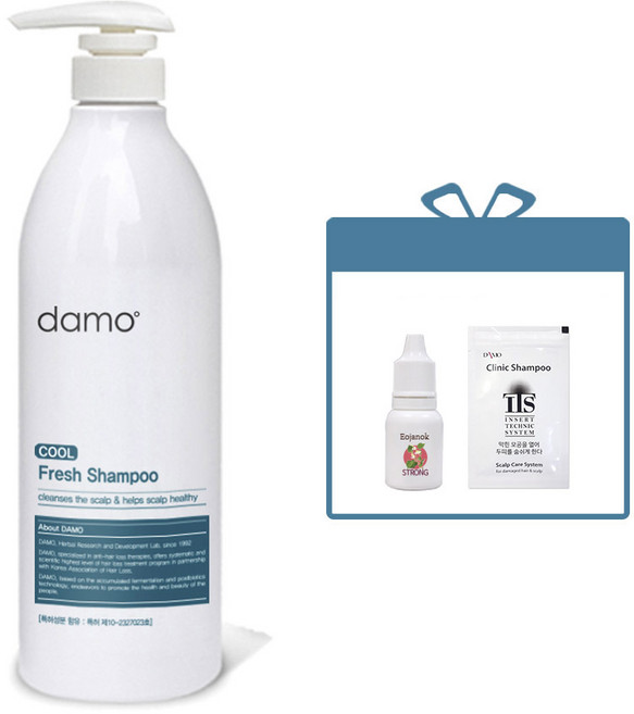 다모 후레쉬 대용량 시원한 쿨샴푸 1000g 청소년 사춘기냄새 지성 올인원 샴푸 바디워시, 1개, 1L