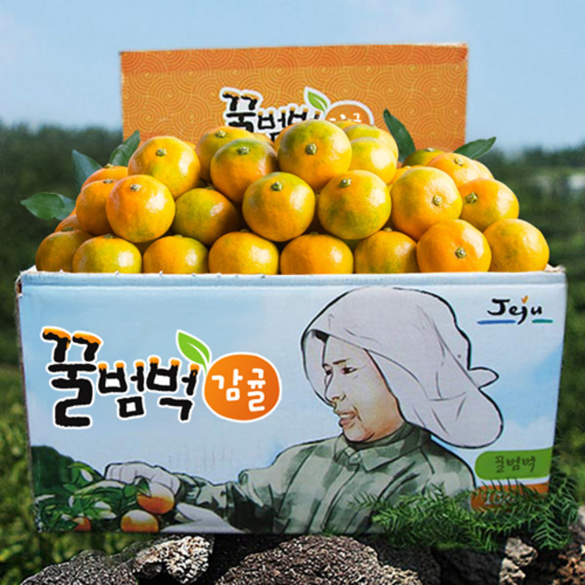 달콤새콤 꿀범벅 타이벡 감귤, 1박스, 9kg 중과(M or L)