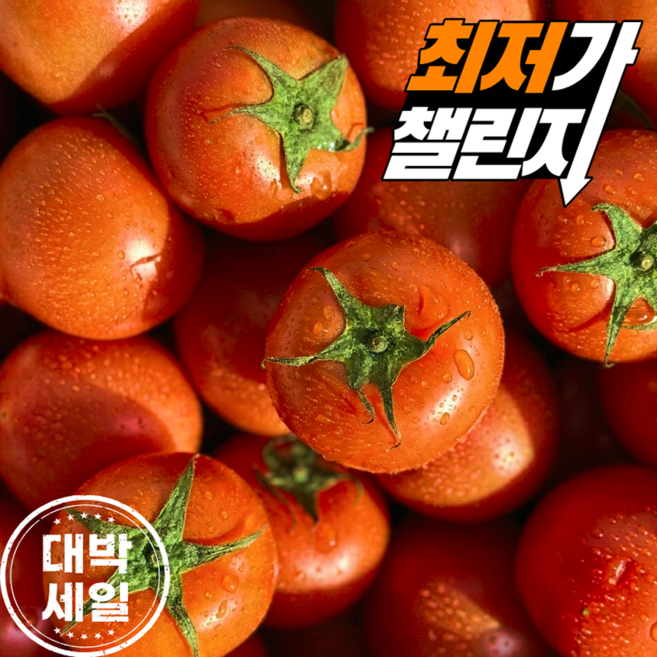 [최저가도전]새벽경매 완숙토마토 초특가, 1박스, 5kg