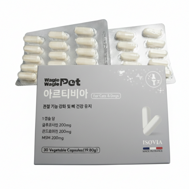 강아지 뼈 관절 MSM 콘드로이친 (프랑스 산), 1개, 30정