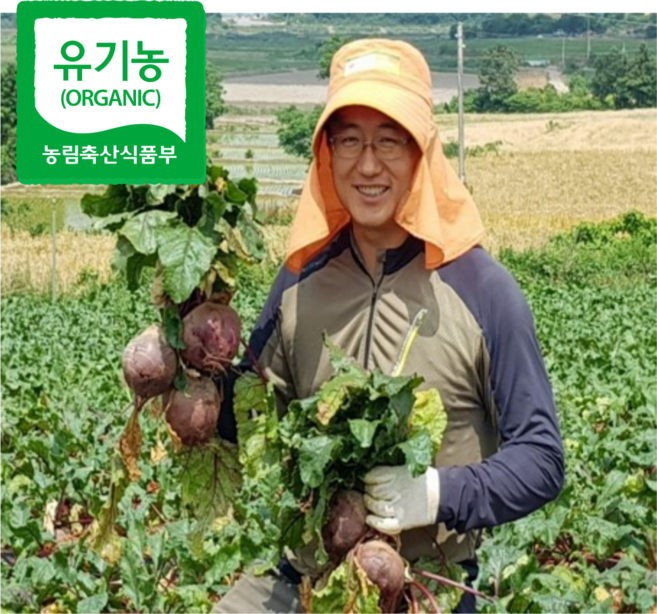 유기농 해남 레드비트 2kg 3kg 5kg 10kg, 1박스