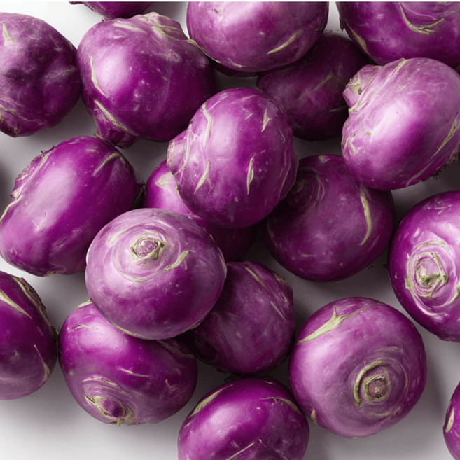 제주 콜라비 3kg 가정용 혼합과 다이어트 채소 생식용 아삭신선 산지직송, 1개, 10kg