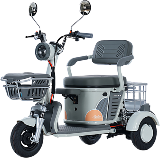 트리보 삼륜 전기자전거 세발 전동 스쿠터, 웜그레이, 경량스틸