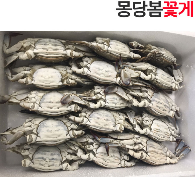 옹진수산 봄몽당꽃게 특대 사이즈 3kg 봄꽃게 연평도 꽃게, 2kg 7미, 1개