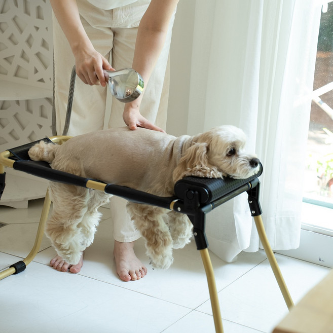 [대형]다리가 아픈 아이도 편하게 강아지 고양이 샤워베드 미용기구 목욕받침대 펫그룸 대형세트 1대(해먹포함)