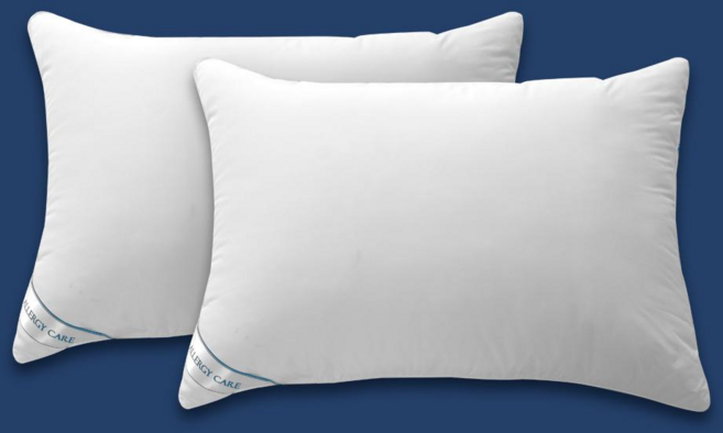 까사소뇨 알러프레쉬 마이크로화이바 항균 진드기방지 호텔 베개솜, 2개, 화이트