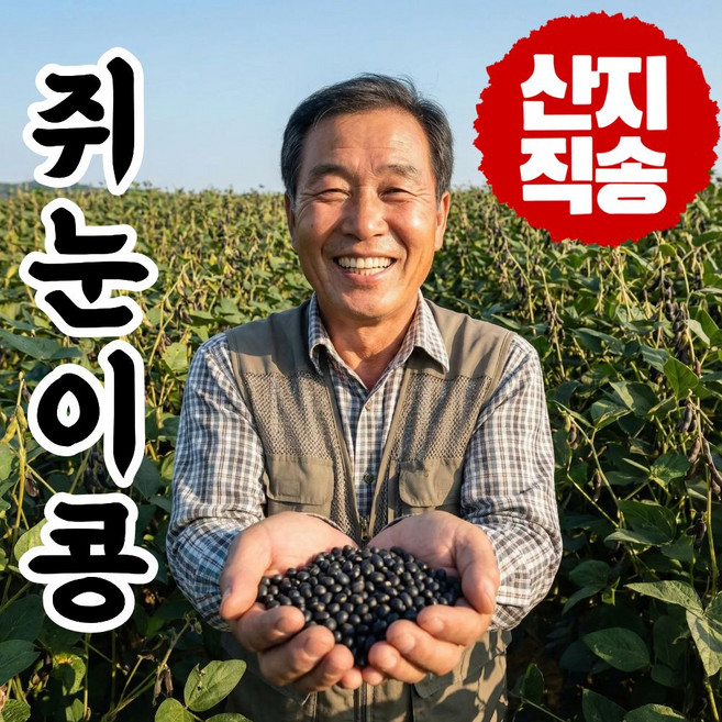 더맛곳간 국산 쥐눈이콩 약콩 서목태 검정콩 검은콩, 1개, 2kg