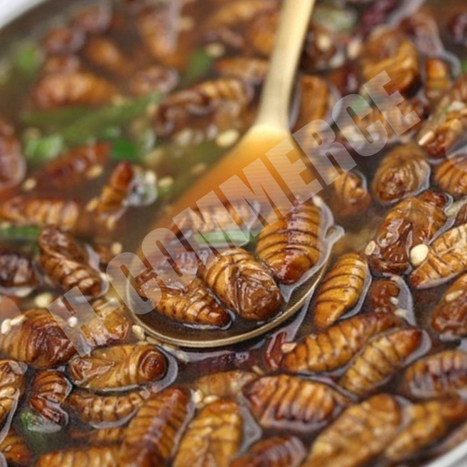 JC VB 대용량 냉동 번데기 1kg 영양 간식 기본 안주 고단백 냉동번데기 뻔데기