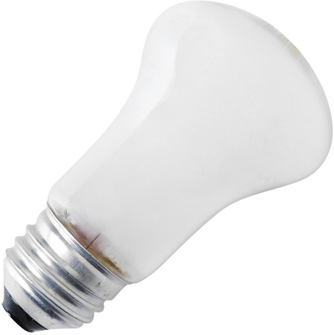 일광 크립톤 백열전구 60W E26 불투명 센서등용 램프 소프트톤, 1개, 전구색