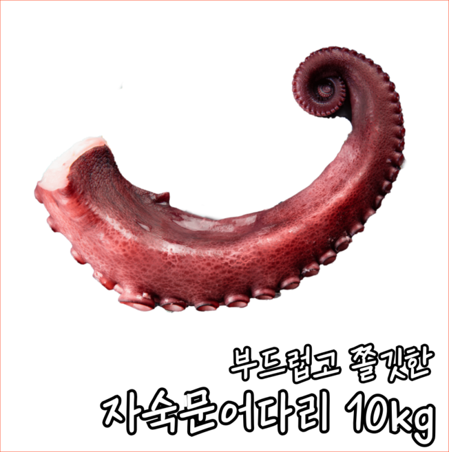 [프리미엄 / A급] 자숙 문어 다리 개별진공포장, 1박스, 1족벌크(10kg/약300gX약33EA)
