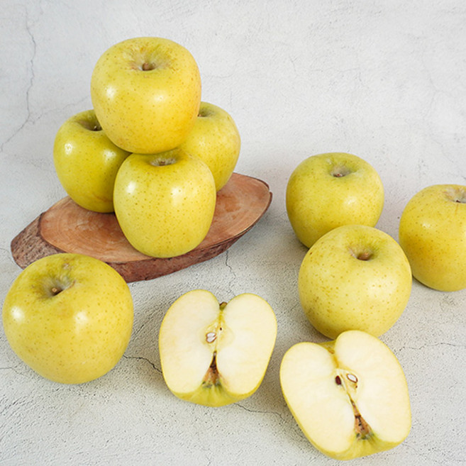 [더조은푸드] 황금사과 시나노골드 가정용 5kg (과수선택), 가정용 5kg 29-33과, 1개