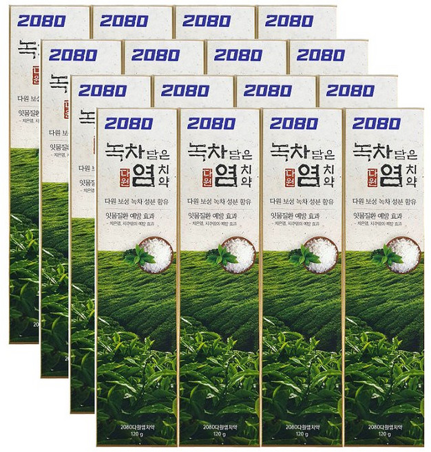 애경 2080 녹차 담은 염치약 잇몸 질환 120g x 16입, 1개