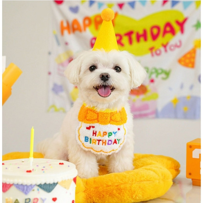 강아지 고양이 생일파티 고깔모자 세트 케이프 생일상 반려견 턱받이 SET, 1개, 옐로우