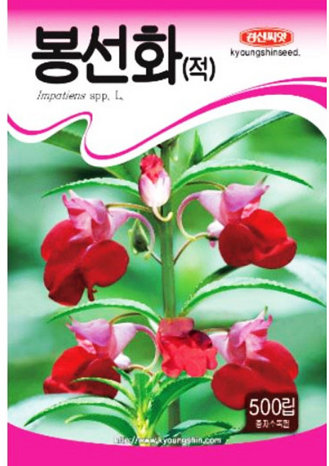 봉숭아씨앗 장미 봉숭아꽃씨 종자, 봉선화, 1개