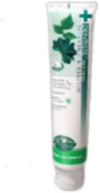 덴티스테 플러스 화이트 치약, 20g, 2개