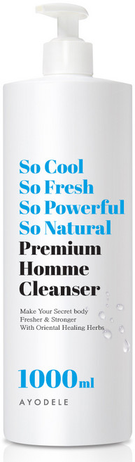 아요델 쏘쿨 쏘프레쉬 프리미엄 남성청결제, 1L, 1개