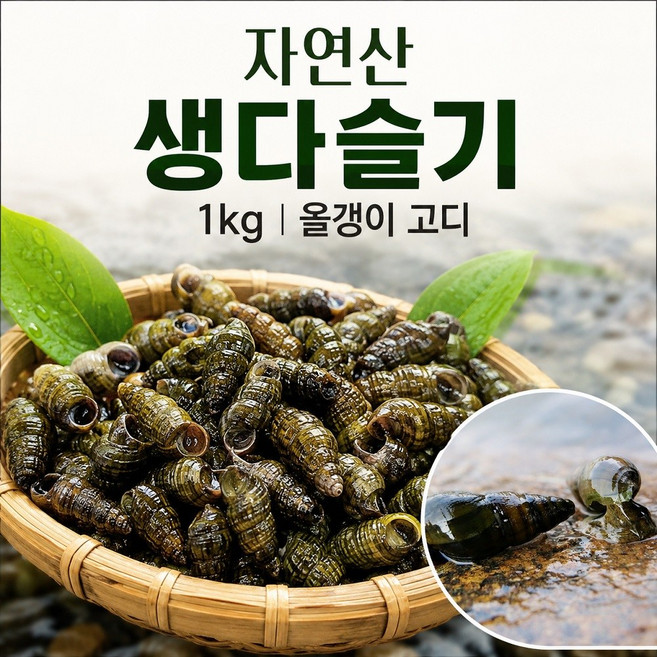 정옥 국내산 민물 생다슬기 자연산 섬진강 올갱이, 1개, 1kg