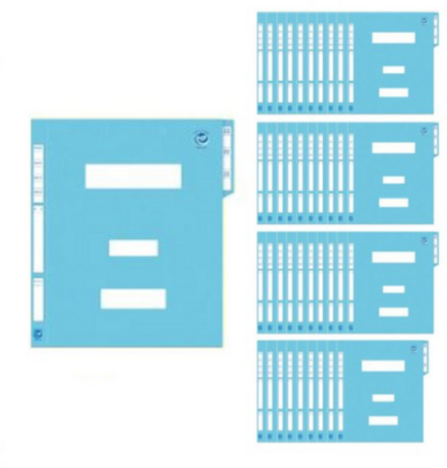 오피스존 정부화일 A4 MB, 청색, 10개