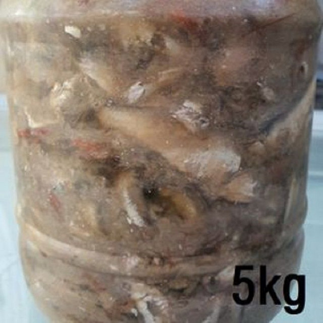 맛깔난 김치에 국산 잡어젓5kg, 1개, 5kg