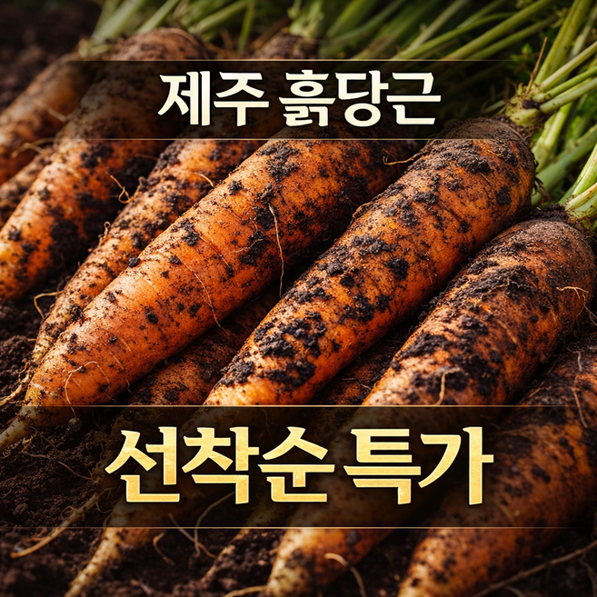 [초특가] 제주 구좌 햇 흙당근 아삭달큰 고당도 산지직송, 1박스, 중상3kg