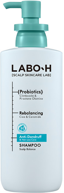 라보에이치 댄드 러프 클리닉 비듬 두피 각질 케어 약산성 샴푸, 400ml, 1개