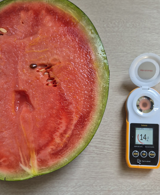 한입에 반하는 고당도 흑미수박, 1개, 흑미수박 4kg 내외(3.7-4.6)