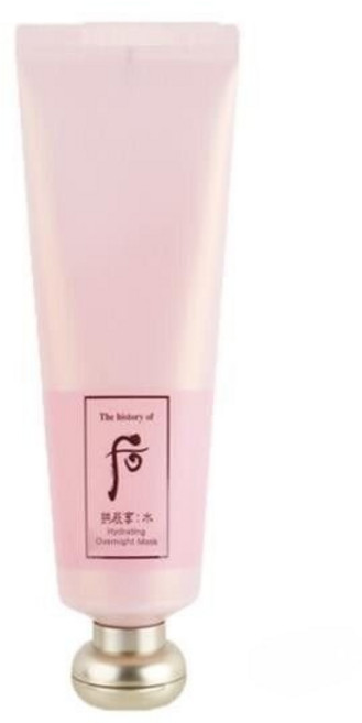 후 궁중생기 수분 비방 한방 수면팩 100ml, 1개