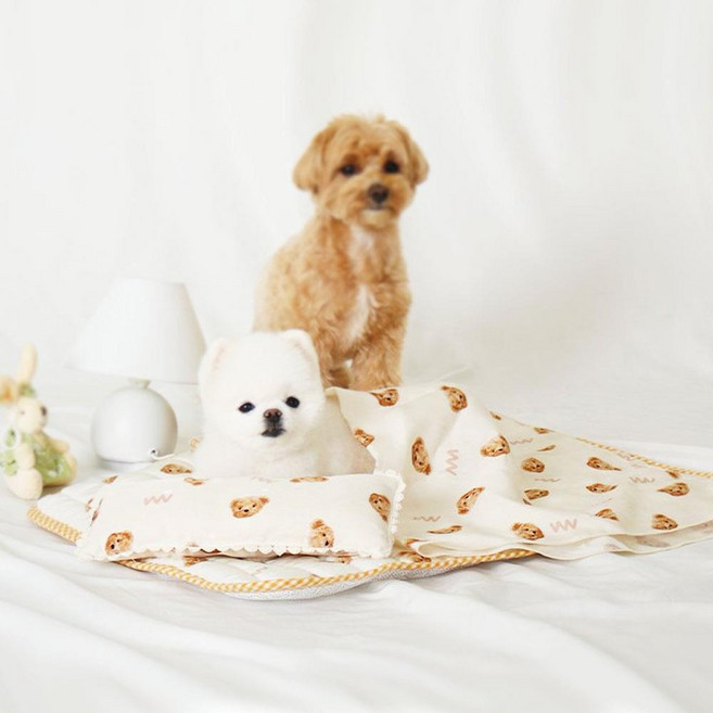 우수한 통풍성 땀 흡수 강아지 이불세트(코코베어) 애견매트, 1개