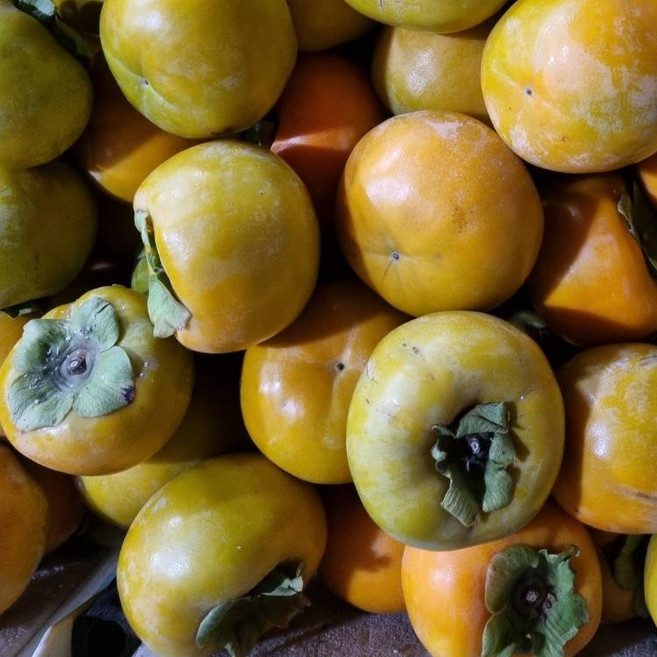 (초특가) 아삭달콤한 고당도 햇 단감 가정용, 1박스, 5kg, 혼합과