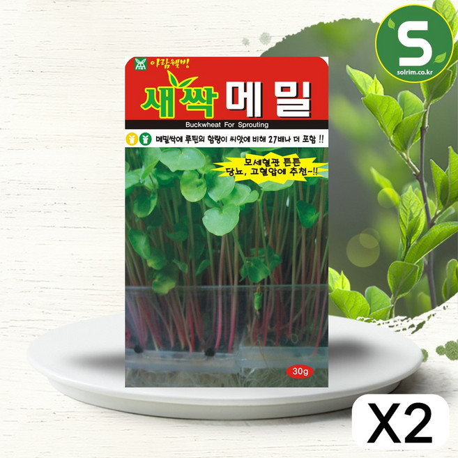 아람종묘 새싹 메밀 씨앗 30g, 2개