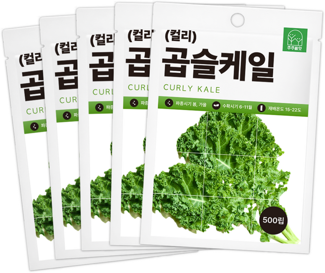 [주주씨앗] 곱슬케일 씨앗 500립 샐러드 쌈채소 컬리 케일 종자 씨 씨앗몰, 5개