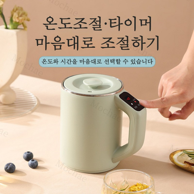 Mochae 휴대용 전기포트 스테인리스 보온 전기주전자 여행용 이중단열 커피포트 0.8L, 그린, 온도 조절형