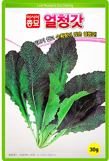 아시아종묘 씨앗 갓 얼청갓 30g, 2개