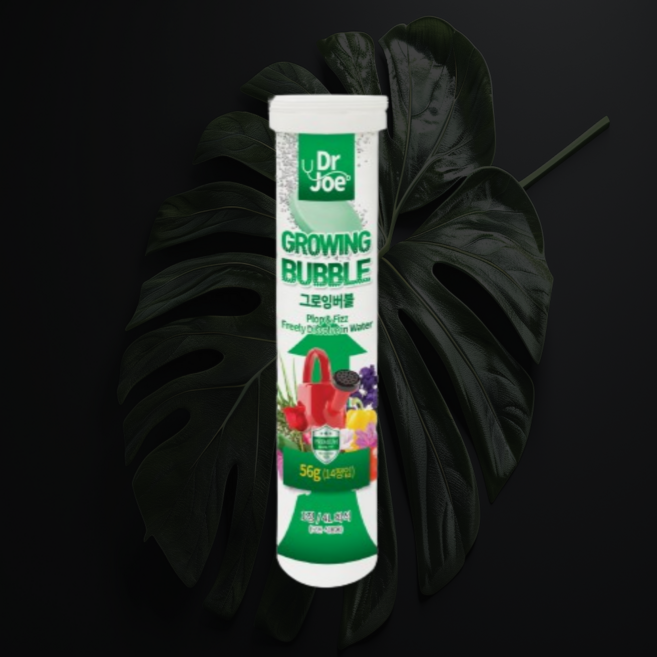 닥터조 그로잉버블 발포확산형 화분 화초 꽃 식물영양제 복합비료 물에 녹여쓰는 영양제, 1개