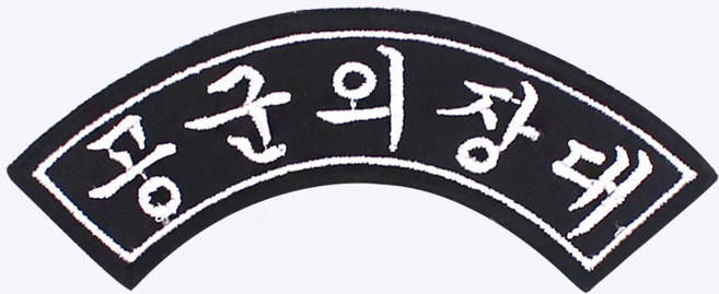공군의장대 아치형 약장 - 군인 패치 군대 군용 오버로크 벨크로 가방 마크 백팩 와펜 밀리터리